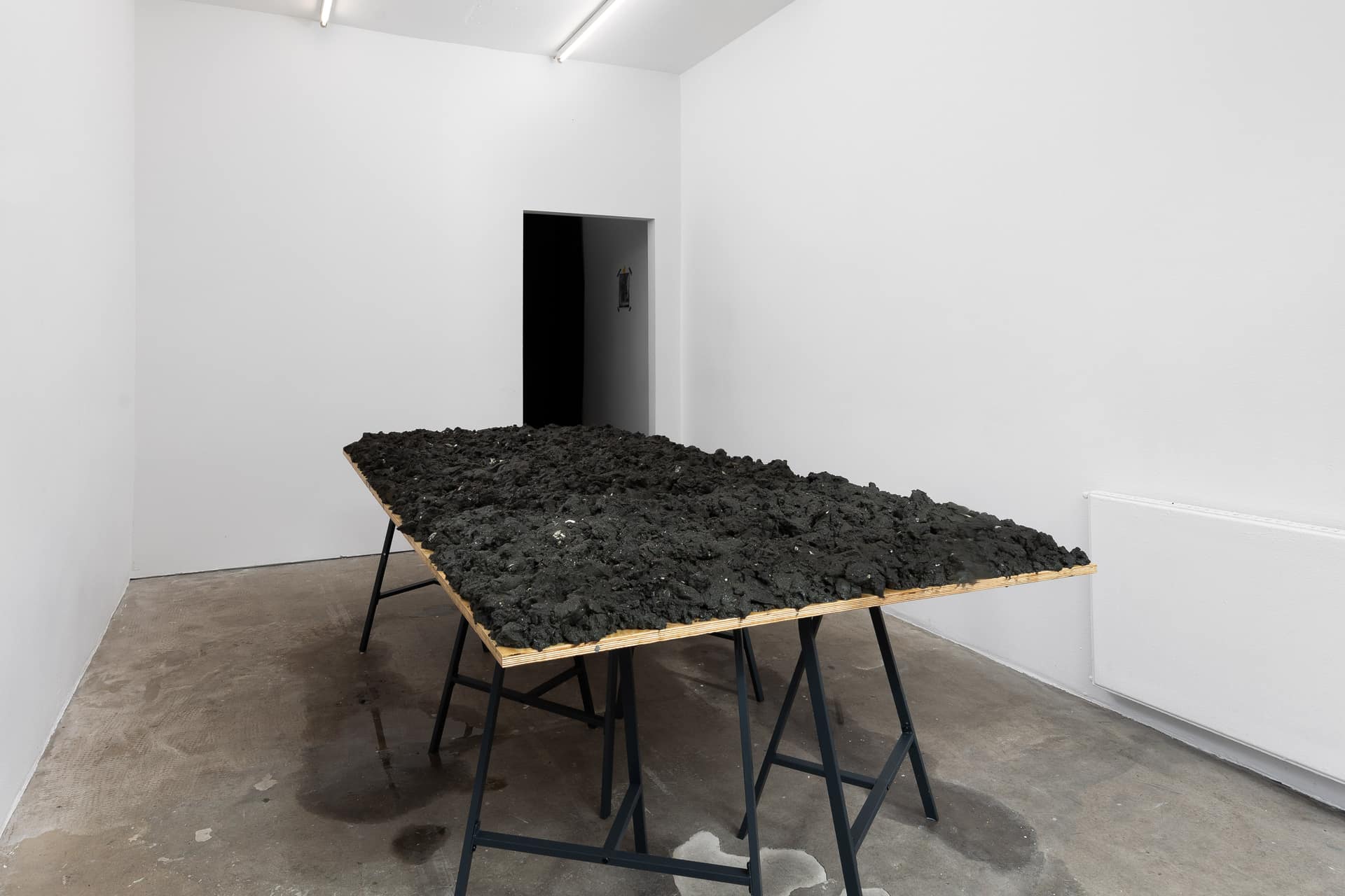 Francesco Cagnin, Life in Lie