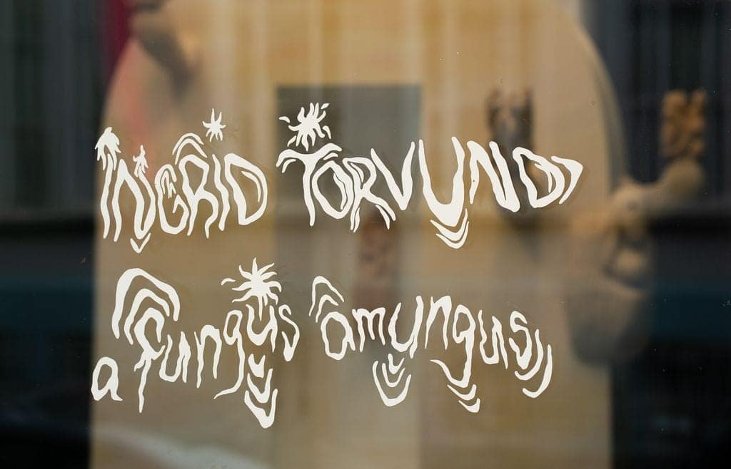 Ingrid Torvund, A Fungus Amungus