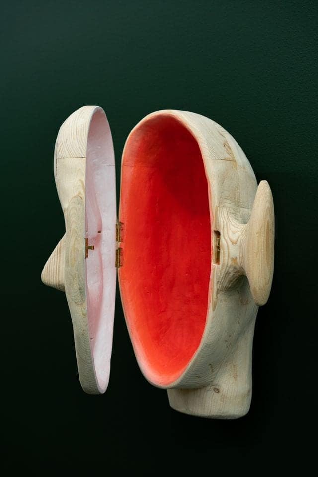 Ingrid Torvund, A Fungus Amungus